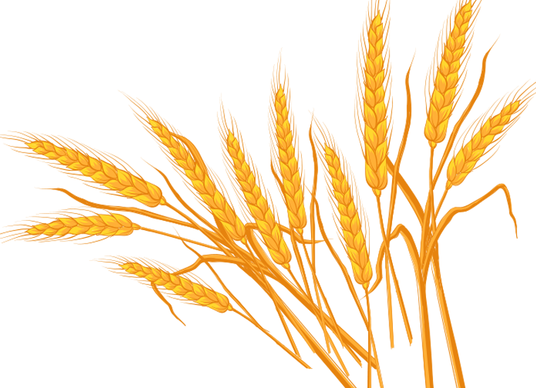 Farm Image